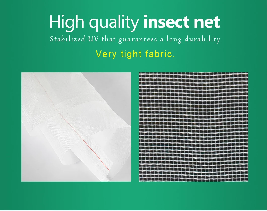 Plain Weave Fiberglass Insect Screen/ Plastic Coated Fiberglass Mesh for Window and Door
