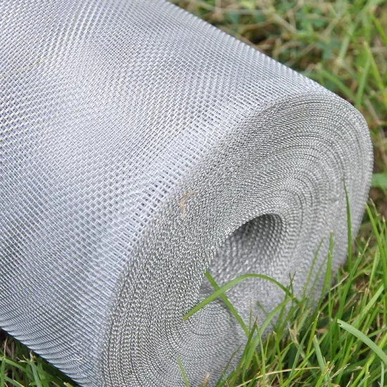 China Factory Supply Anti Insect Aluminum Alloy Window Screen Mesh for School